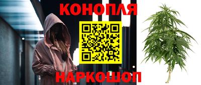 jwh Пенза