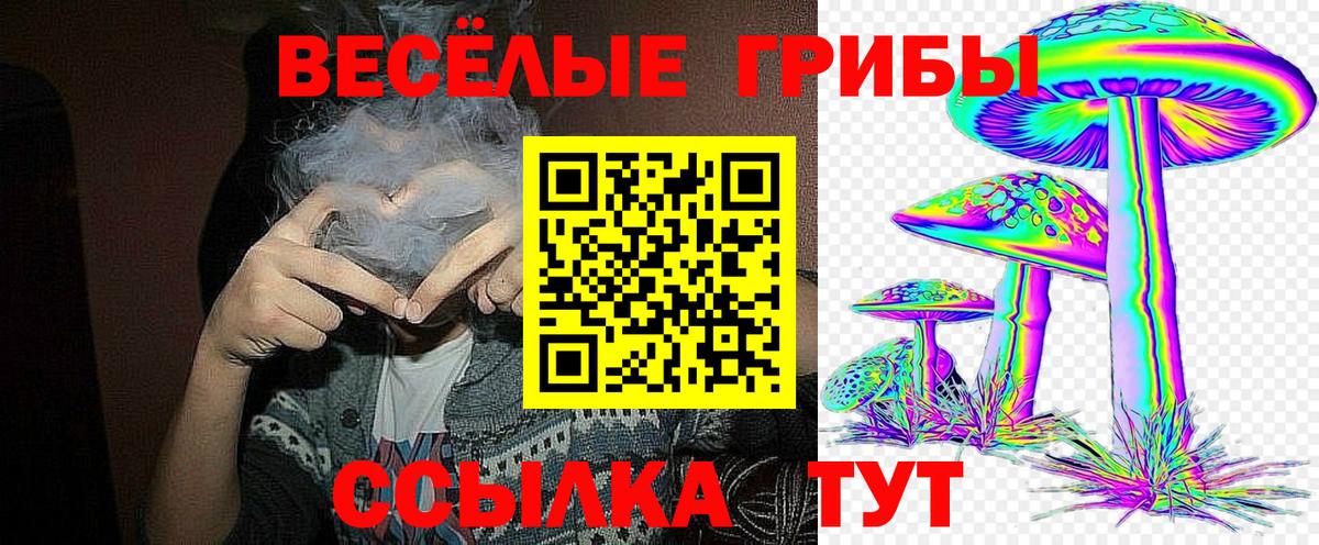 Сунжа  Псилоцибиновые грибы GOLDEN TEACHER  Вход с VPN  Галлюциногенные грибы прущие грибы 